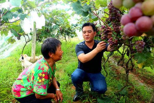 方山吃瓜最新事件爆料 第1张 方山吃瓜最新事件爆料 第1张